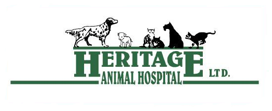 Veterinarian Near Me - Contact Us | Heritage Animal Hospital